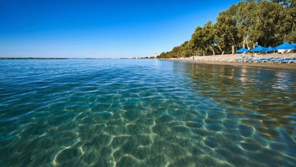 Beach Apartment'S ليماسول المظهر الخارجي الصورة